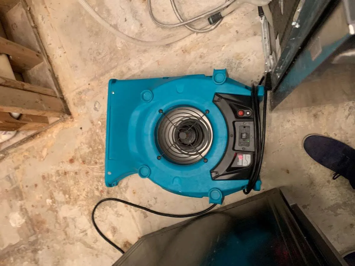 Air mover drying equipment for Mold Remediation & Removal in Kendall West